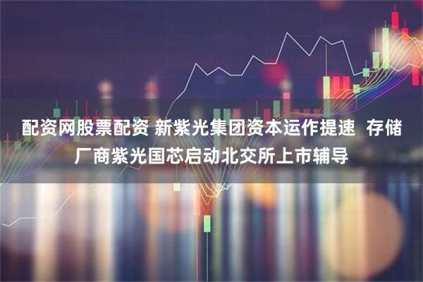 配资网股票配资 新紫光集团资本运作提速  存储厂商紫光国芯启动北交所上市辅导